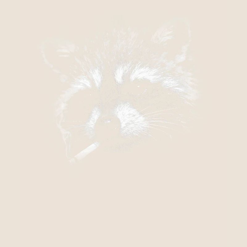 Rauchen, Zigarette, Waschbär raucht eine Zigarette