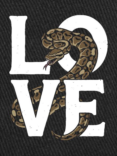 Königspython Schlangen LOVE Terrarium Python