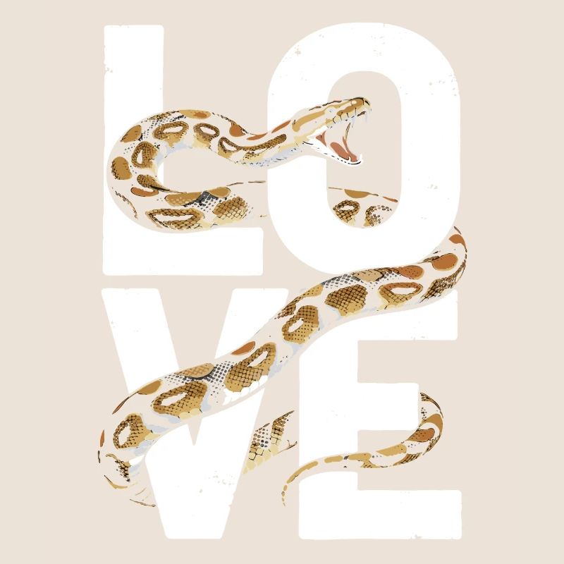 Königspython Schlangen LOVE Terrarium Python