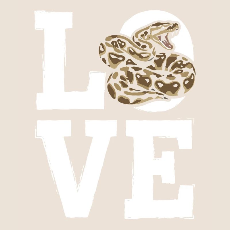 Königspython Schlangen LOVE Terrarium Python