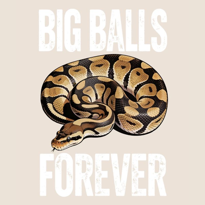 Python roi Serpents Amateurs de terrarium Python