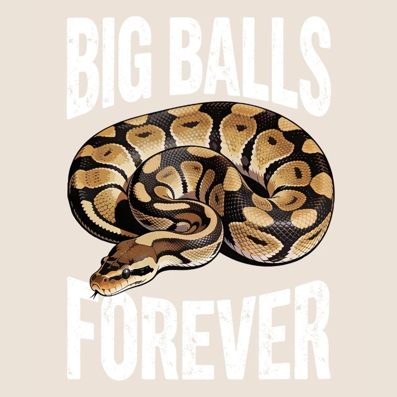 Königspython Schlangen Liebhaber Terrarium Python