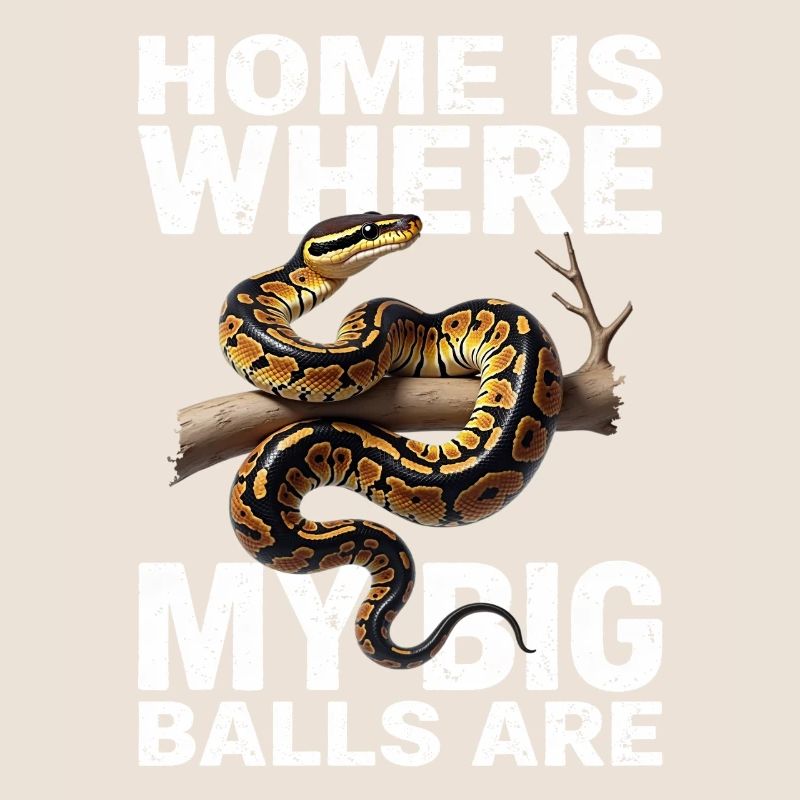 Python roi Serpents Amateurs de terrarium Python