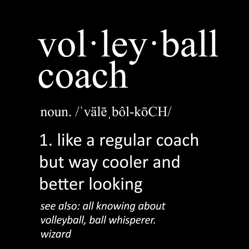 Volleyballtrainer Funny Dictionary Definition Art