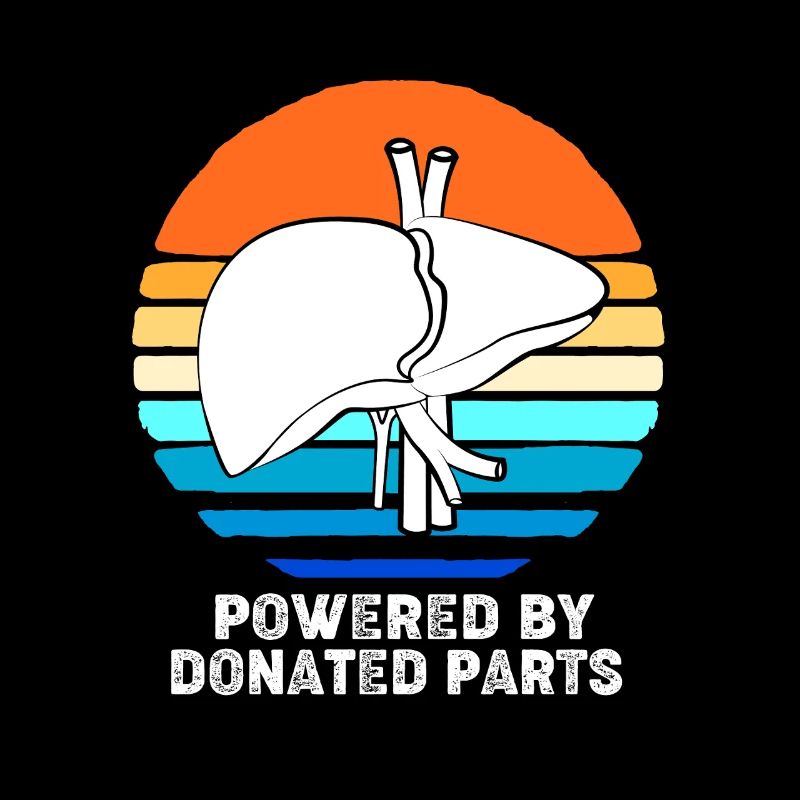 Organ Spender Leber Organspender Leberspende