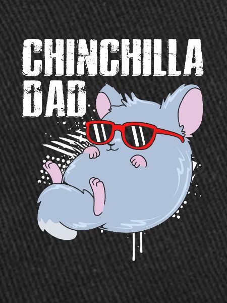 Chinchilla