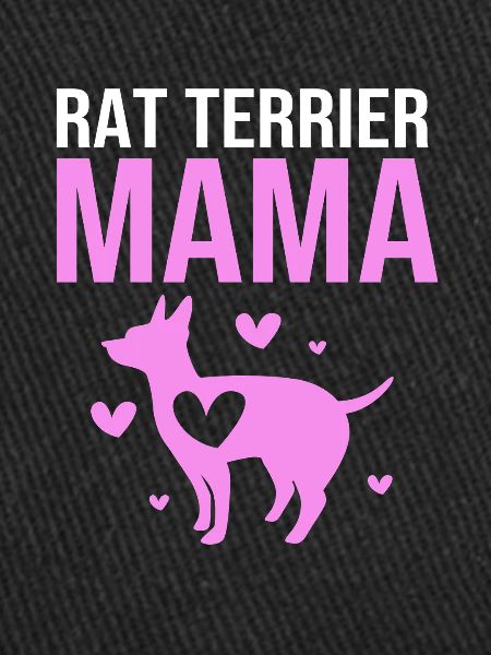 Rat Terrier