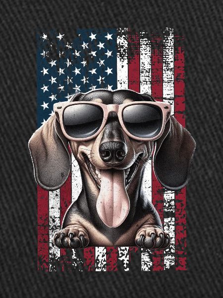Dachshund US Dackel