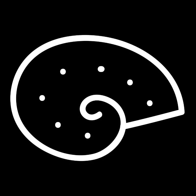 Ammonite - Escargot temporel