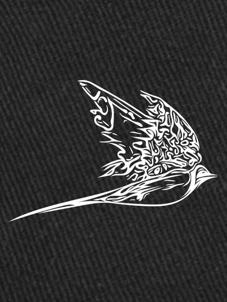 Elegant swallow in flight