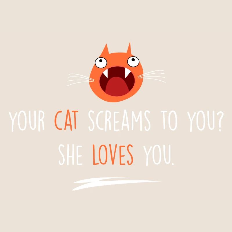 Le chat t’aime