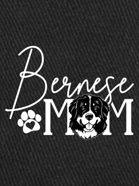 Bouvier bernois
