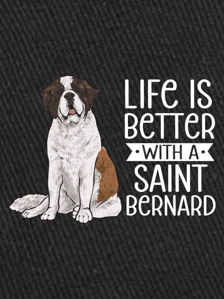 Saint-Bernard Chien Saint-Bernard