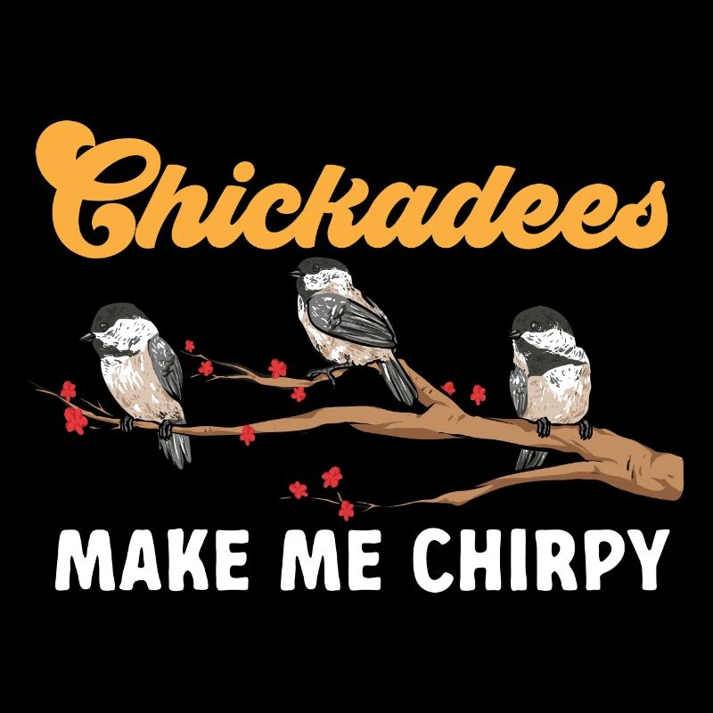 Meise Vogel Chickadee Vogelbeobachtung