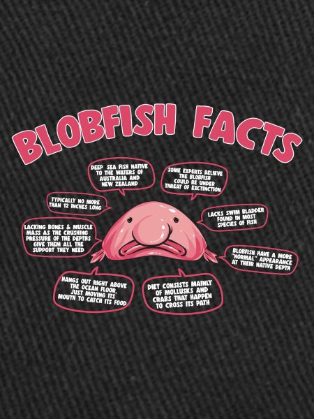 Blob fish