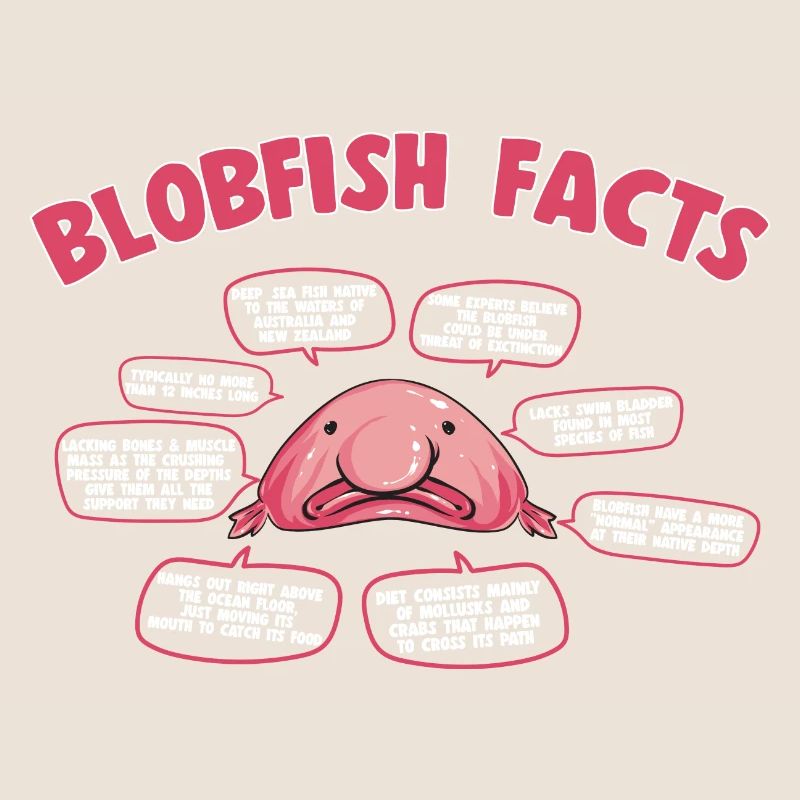 Blob fish