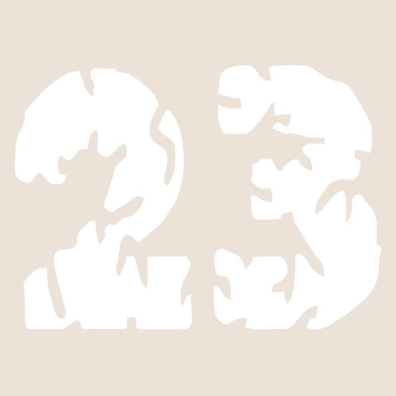 Maillot 23 numéros