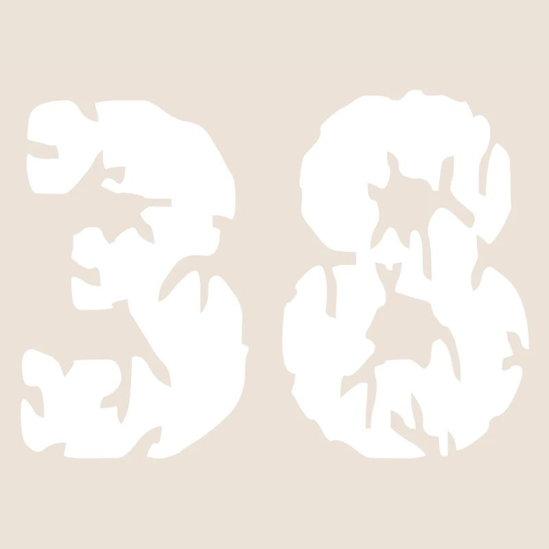 Maillot 38 Numéro
