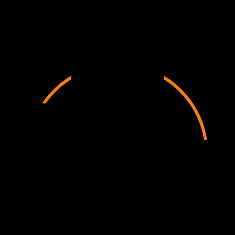 Ibiza Palm