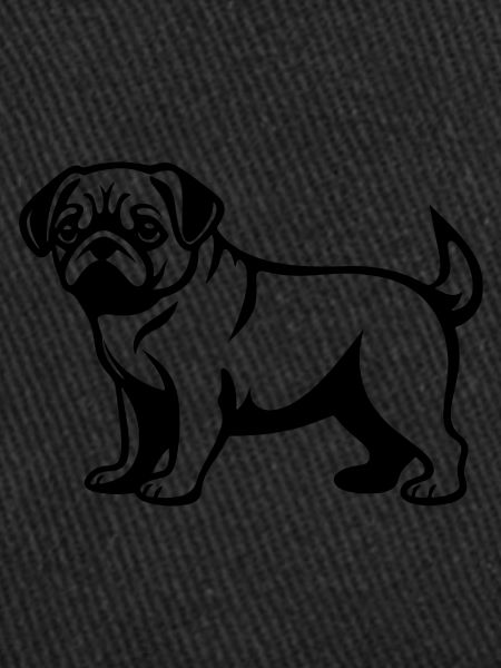 Chien Carlin