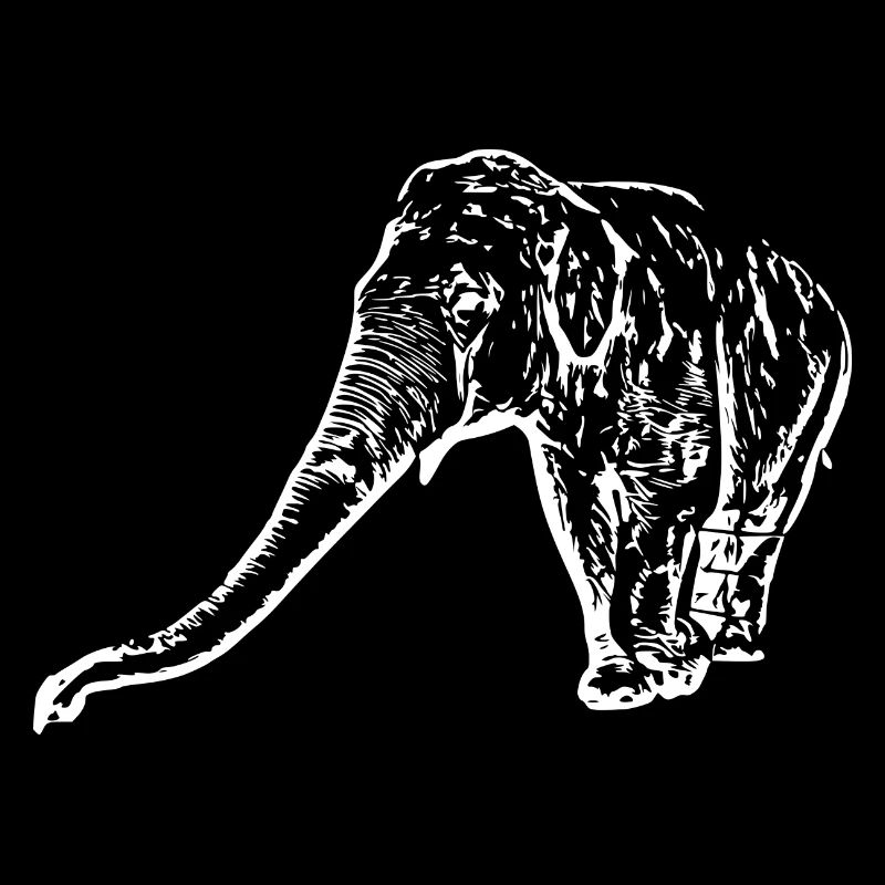 Elephant white