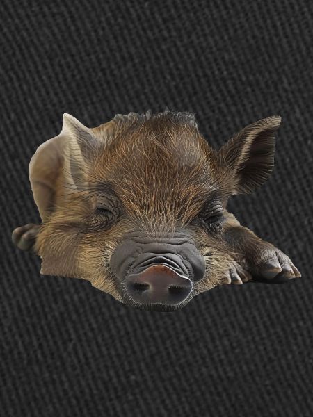 Warzenschwein