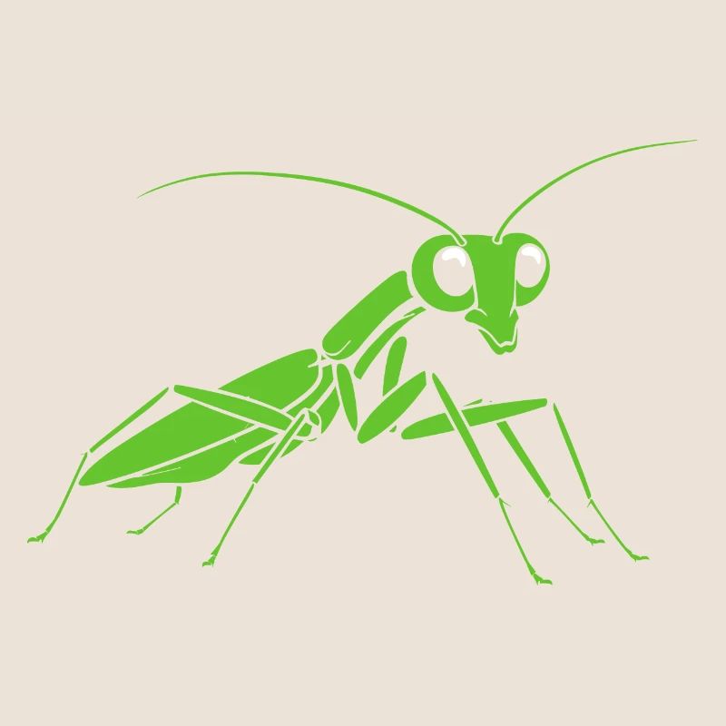 Praying mantis