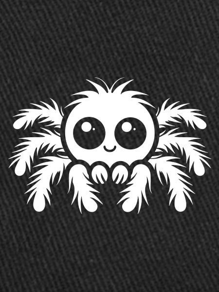spider