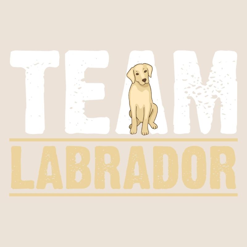 Chien Labrador
