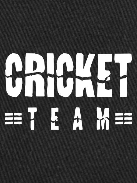 Équipe de cricket