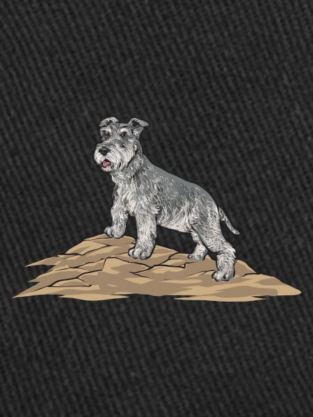 Schnauzer nain Chien Schnauzer
