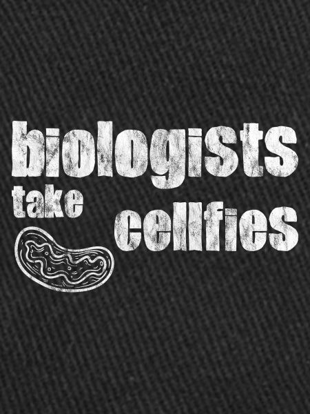 Biologists Take Cellfies 5