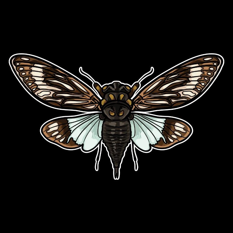 Cicada Colorful