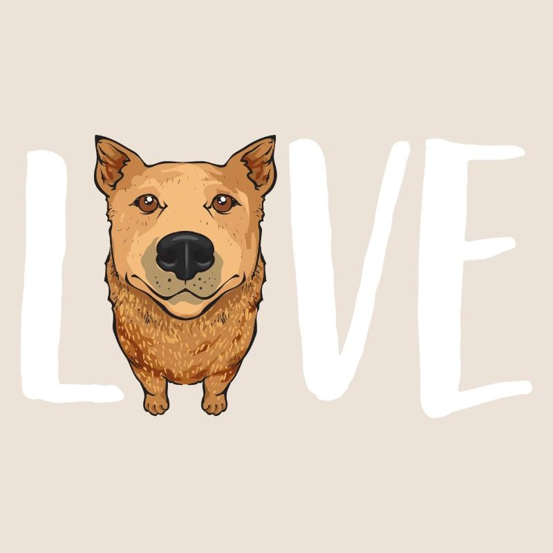 Bouvier australien Red Blue Heeler