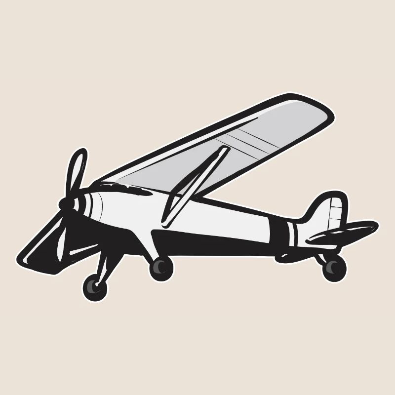 Modèle d’avion télécommandé