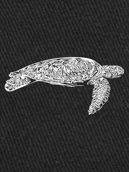 Elegant old water turtle