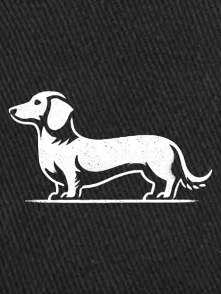 Teckel Teckel Silhouette Chien