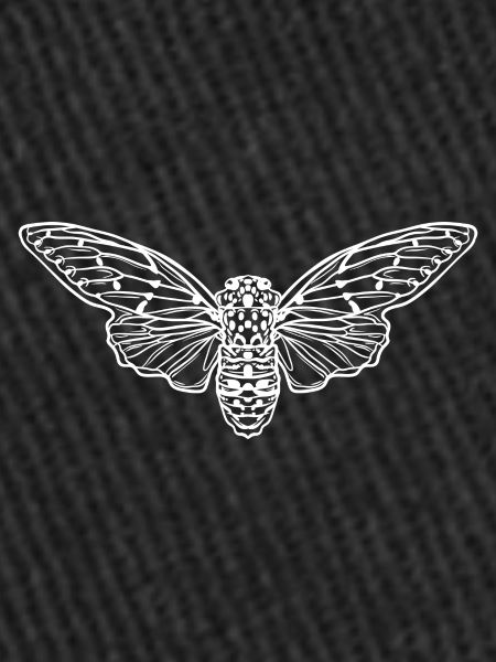 Cicada Minimalist