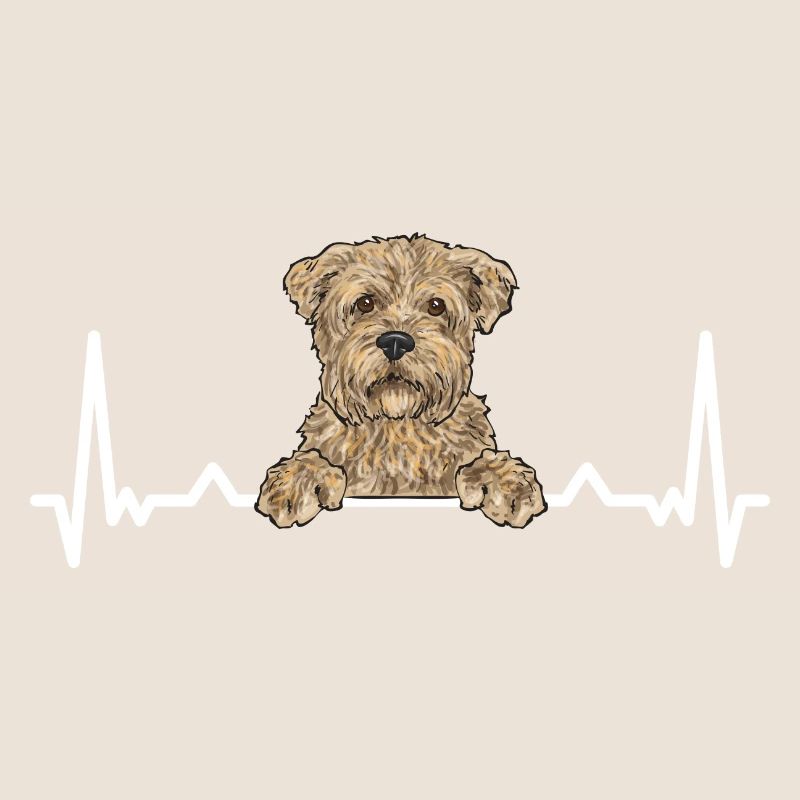 Cairn Terrier Chien