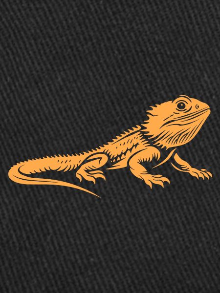 Bearded Dragon