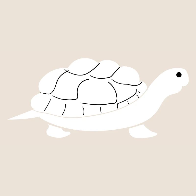 Tortues