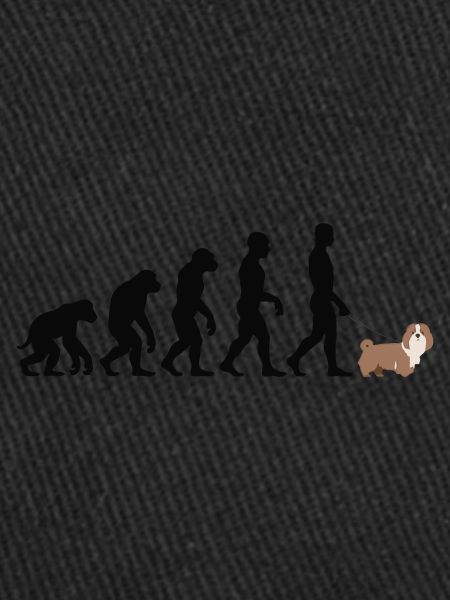 Lhassa Apso