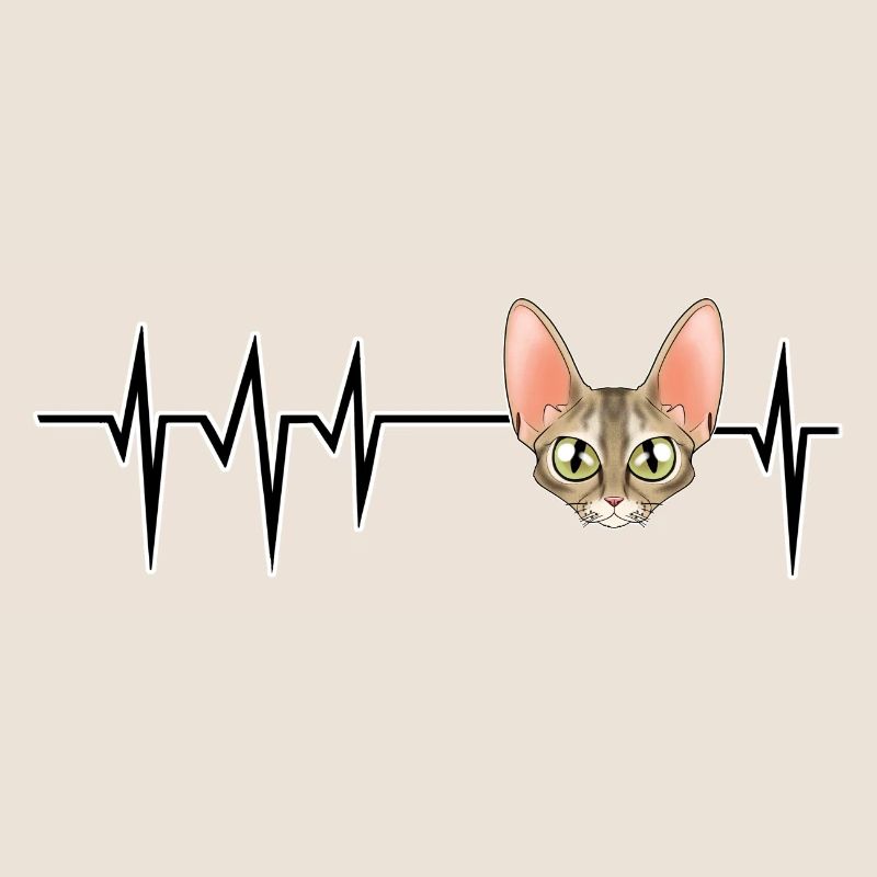 Cat Heartbeat I Devon Rex Cat
