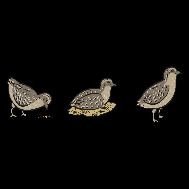 Wachtel Vogel