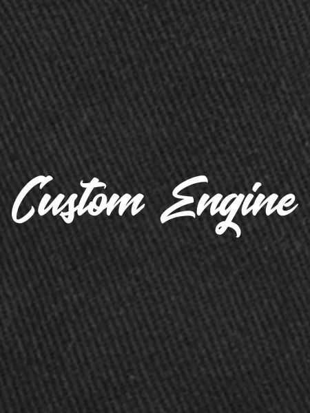 Custom Engine