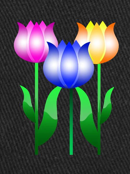 Tulpenblumen