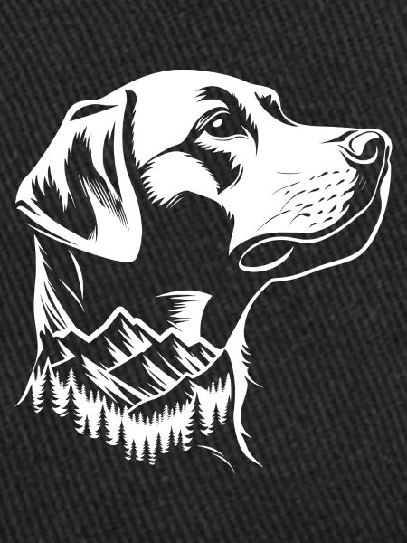 Labrador Retriever Sennenhund