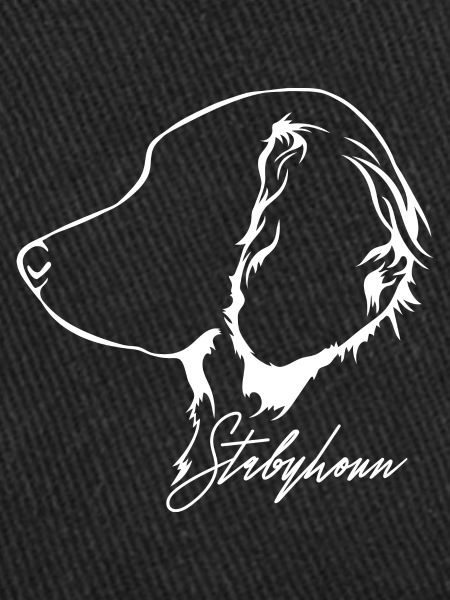 STABYHOUN Profil Chiens Wilsigns