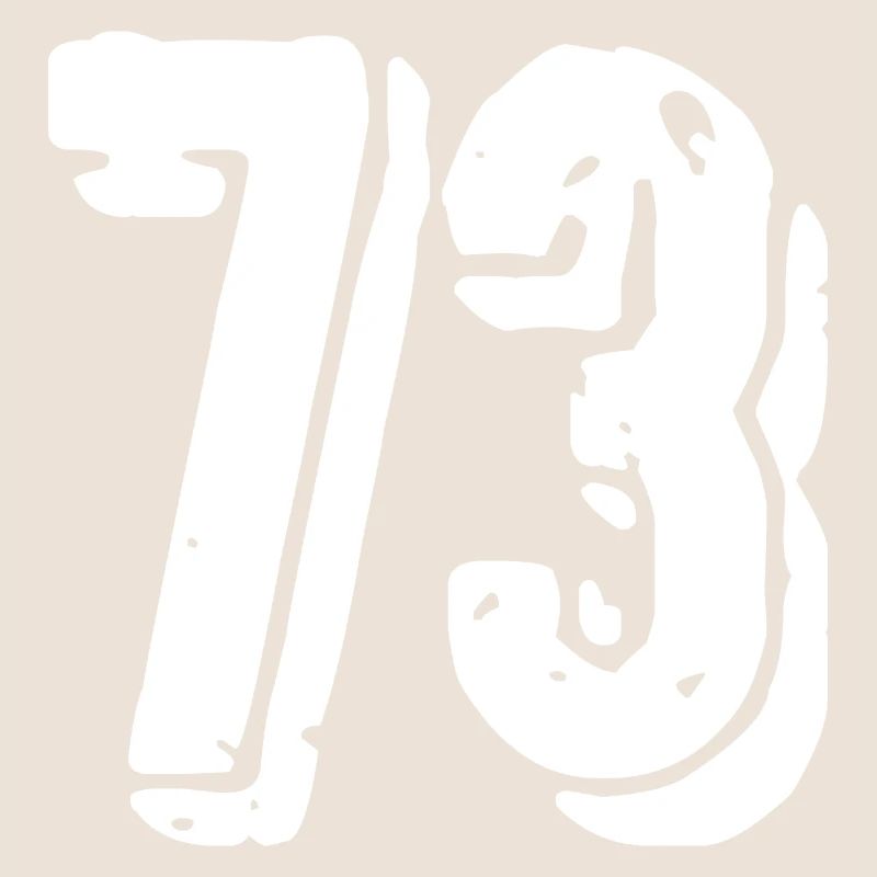 Maillot à 73 numéros