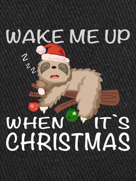 Sloth, Christmas, sleeping sloth